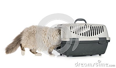 Birman cat and cage Stock Photo