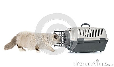 Birman cat and cage Stock Photo
