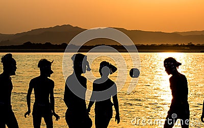 Birmania playing in sunset Editorial Stock Photo