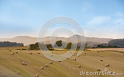 Birnam Hill in the distance - beautiful golden autumn in Perthshire, Scotland Stock Photo