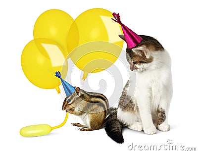 Birthday concept, funny cat and chipmunk with balloons Stock Photo