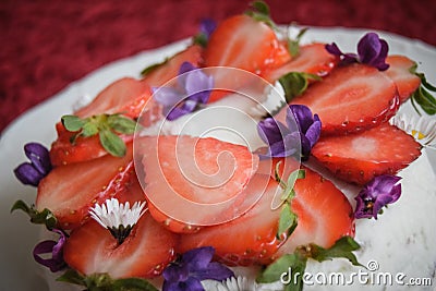 Birthday strawberry cake for dog Stock Photo