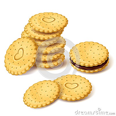 Biscuit cookies or cracker with cream vector Vector Illustration