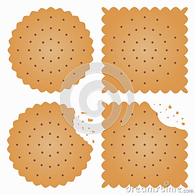 Biscuit, cracker with bite marks and crumbles. Vector. Vector Illustration
