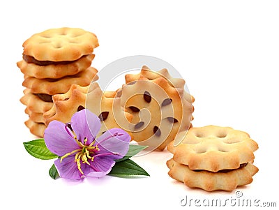 Nice Biscuits. Stock Photo