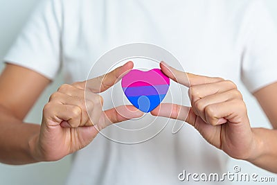 Bisexuality Celebrate Day and LGBT pride month, LGBTQ+ or LGBTQIA+ concept. Hand holding purple, pink and blue heart shape for Stock Photo