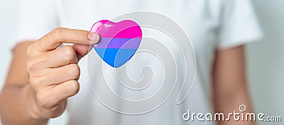 Bisexuality Celebrate Day and LGBT pride month, LGBTQ+ or LGBTQIA+ concept. Hand holding purple, pink and blue heart shape for Stock Photo