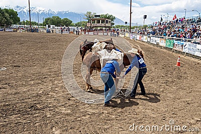 Bishop, California / USA May 24 2019: Mule Days Rodeo Competition Editorial Stock Photo