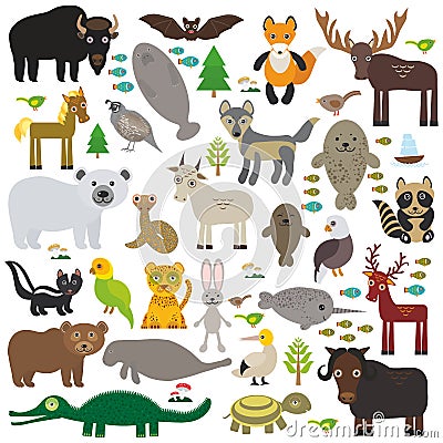 Bison bat manatee fox elk horse wolf partridge fur seal Polar bear Pit viper snake Mountain goat raccoon Eagle skunk parakeet Vector Illustration