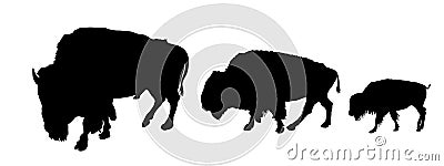 Bison couple with calf vector silhouette illustration isolated on white background. Portrait of Buffalo family herd. Vector Illustration