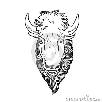 Bison Mascot Head Vector Illustration