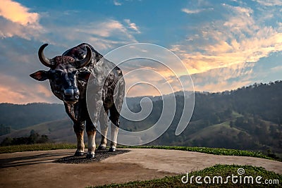 Bison statue at a hilltop overlooking the sunset at the Khao Pang Ma national park in Thailand Editorial Stock Photo