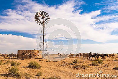 Bisti Badlands, New Mexico, USA Stock Photo