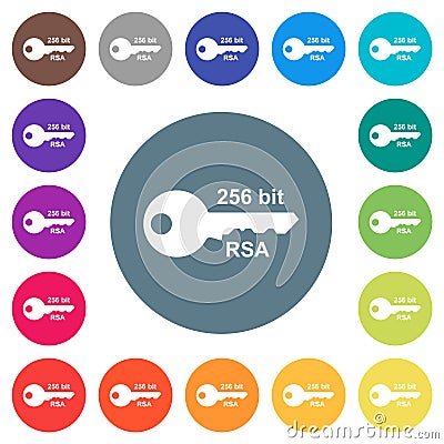 256 bit rsa encryption flat white icons on round color backgrounds Vector Illustration