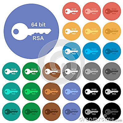 64 bit rsa encryption round flat multi colored icons Vector Illustration