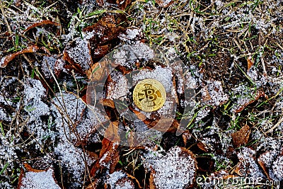 Bitcoin coin on a background of snowy grass and old leaves Stock Photo