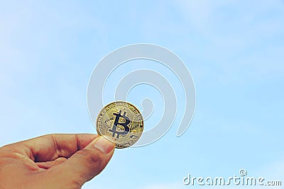 Bitcoin coins from the point of view of ants Stock Photo