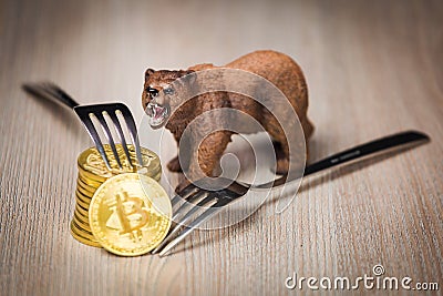 Bitcoin crypto bear market concept Stock Photo