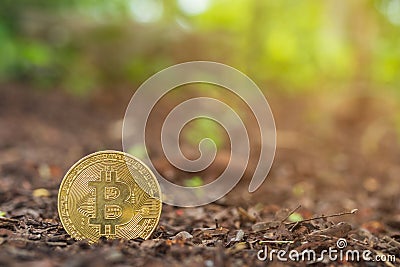 Bitcoin in ground. Mining Golden Bitcoins concept Stock Photo