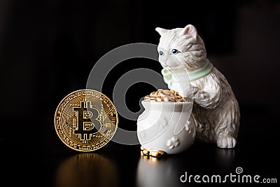 Bitcoin single coin with a cat Stock Photo