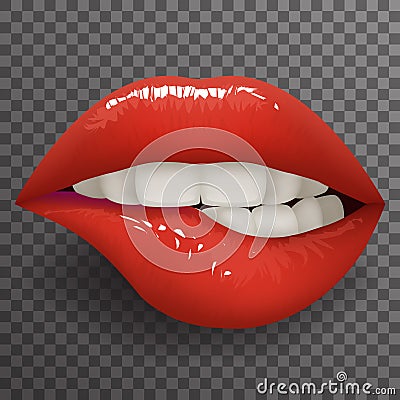 Biting lip female mouth stylish fashion mockup transparent background design vector illustration Vector Illustration