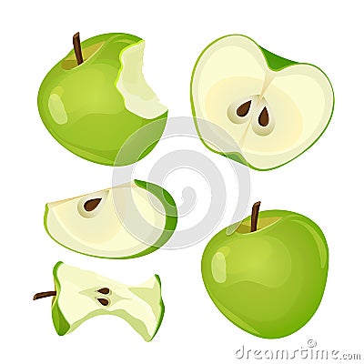 Bitten apple, whole, half and slice isolated on white background Vector Illustration