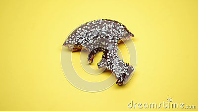 Bitten donut, sugar addiction and bulimia problem, emotional overeating, macro Stock Photo