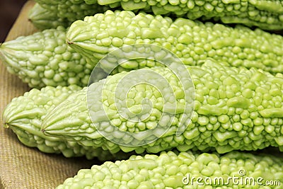 Bitter gourd Stock Photo