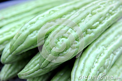 Bitter melon Stock Photo