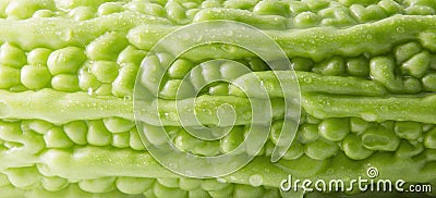 Bitter Melon epidermis Stock Photo