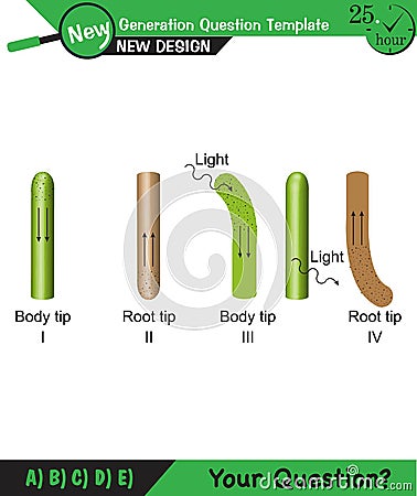 Biology - Lecture notes, plant physiology Stock Photo