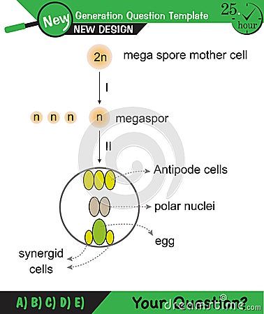 Biology - Lecture notes, plant physiology Stock Photo