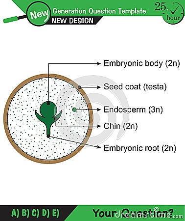 Biology - Lecture notes, plant physiology Stock Photo