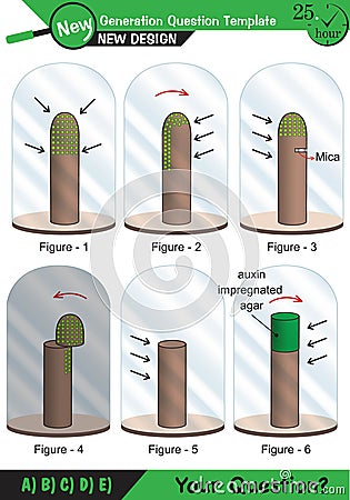 Biology - Lecture notes, plant physiology Vector Illustration