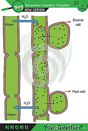 Biology - Lecture notes, plant physiology Stock Photo