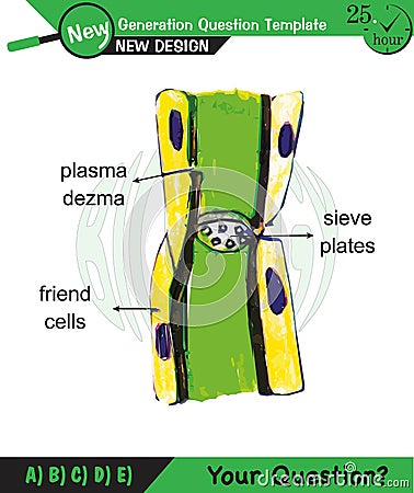 Biology - Lecture notes, plant physiology Stock Photo