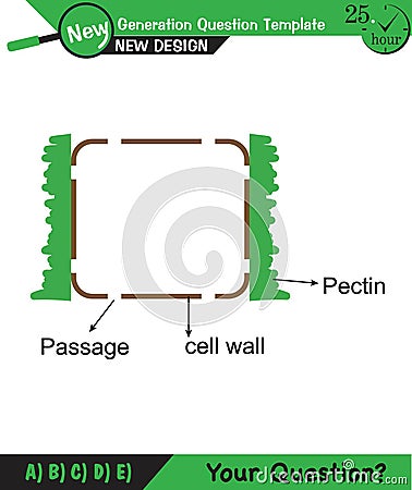 Biology - Lecture notes, plant physiology Vector Illustration