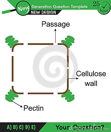 Biology - Lecture notes, plant physiology Stock Photo