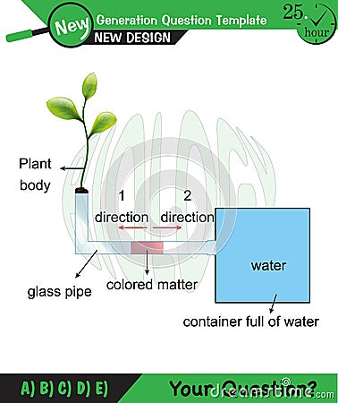 Biology - Lecture notes, plant physiology Stock Photo