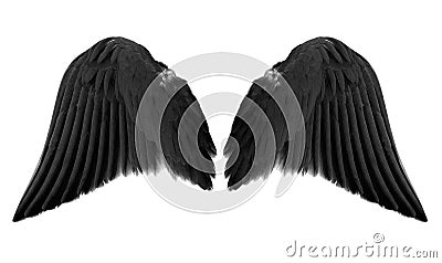 Black angel wings Stock Photo