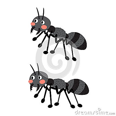 Black ants cartoon character. Vector Illustration