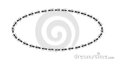 Ants circle border. Ants forming oval shape isolated in white background. Vector illustration Vector Illustration