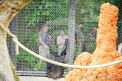 A black ape is talking with people Editorial Stock Photo