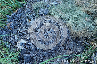 black ashes of an extinct fire in the green grass Stock Photo