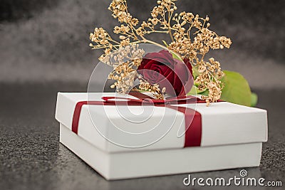 black background with gift box and red rose Stock Photo