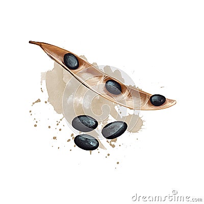 Black beans isolated on white background. Digital art illustration of adzuki bean Vigna angularis azuki or aduki, or red Cartoon Illustration