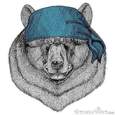 Black bear American bear Wild animal wearing bandana or kerchief or bandanna Image for Pirate Seaman Sailor Biker Stock Photo