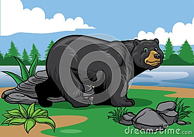 Black bear in the nature Vector Illustration