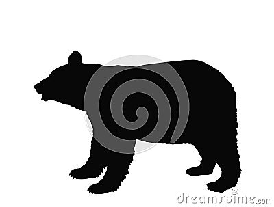 Black bear vector silhouette illustration isolated on white background. Vector Illustration