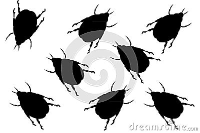 Black beetles Vector Illustration